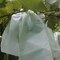 50 PCS Fruit Protection Bags 8x12 Inch – Non-Woven Drawstring Plant & Fruit Barrier Bags for Garden, Trees & Vegetables